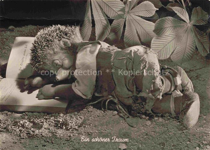 MECKI Nr. 5 Gebrueder Diehl Hoer Zu Ein schoener Traum