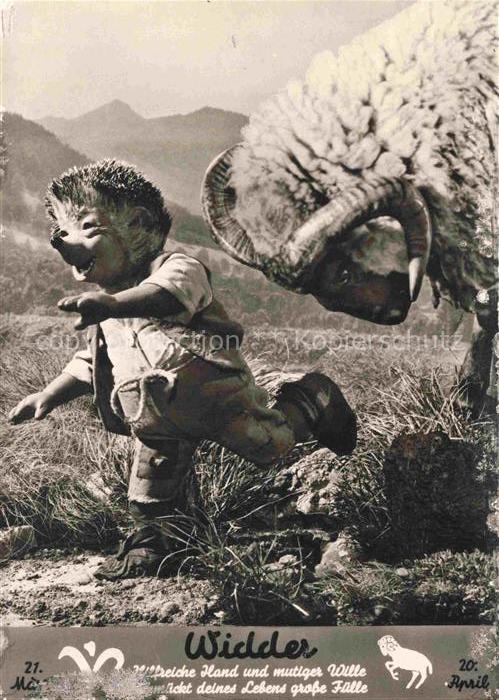 MECKI Nr. 504 Diehl Film Wieder Sternzeichen