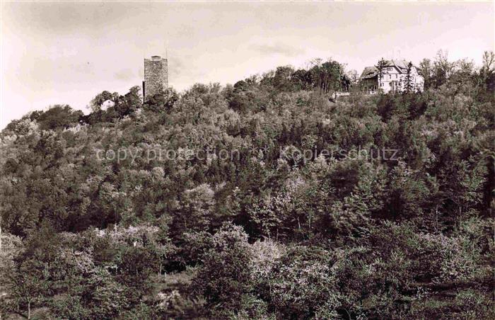 Durlach Karlsruhe Baden BW Turmberg Sportschule Wald Huegel Turm Villa