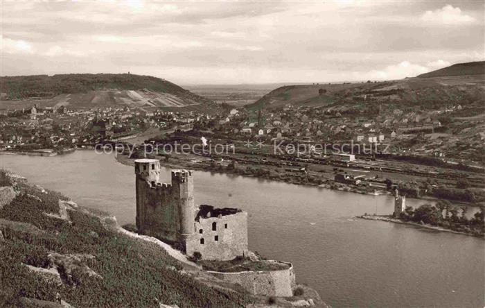 Dietersheim Bingen Rhein Burg-Ehrenfels Bingerbrueck Rhein Weinberge Stadtpanora