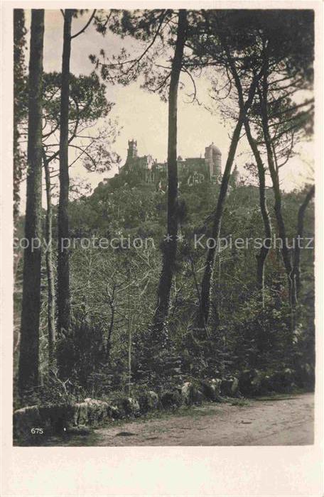 Sintra LISBOA PT Schloss-Pena Wald Pinien Palast Romantik Weg Burg Huegel