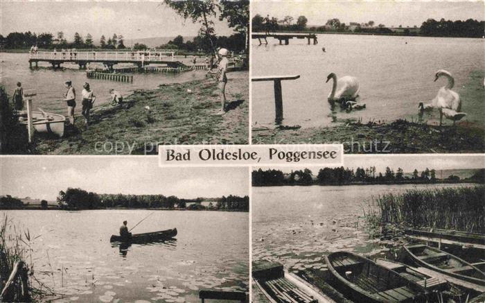 Oldesloe Bad Poggensee See Badesteg Schwaene Angler Boot Schilf Mehrbildkarte So