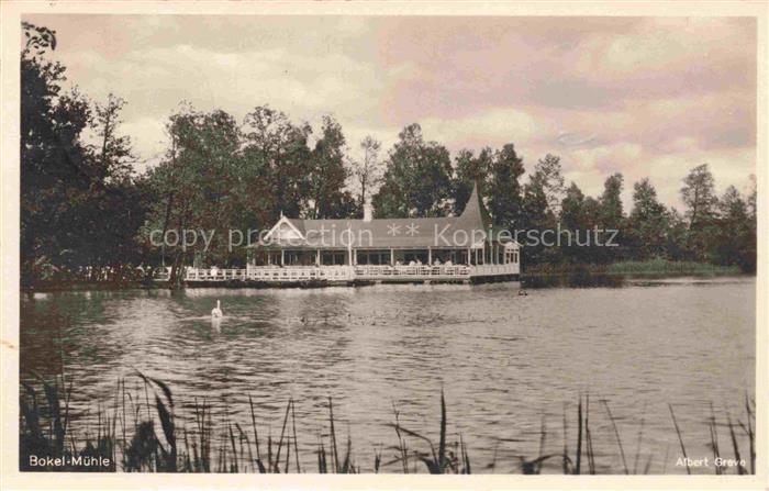 Bokel Bremerhaven Bokel-Muehle See Schwan Gasthaus Veranda Baeume Schilfgras