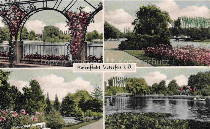 Uetersen Pinneberg Schleswig-Holstein Rosarium Rosen Pergola See Boot Park Baeum