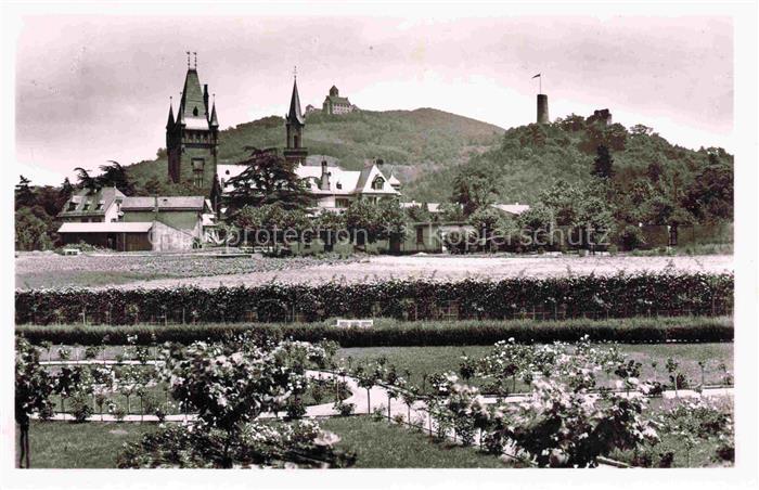 Heiligkreuz Weinheim Rosenanlage Schloss-Wachenburg Ruine-Windeck Kirchturm Gart