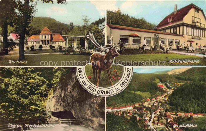 Grund Harz Bad Kurhaus Schoenhofsblick Iberger-Tropfsteinhoehle Luftbild Hirsch
