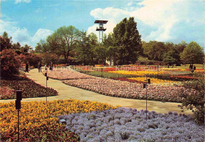 Killesberg STUTTGART Hoehenpark-Killesberg Blumenbeete Parkanlage Aussichtsturm