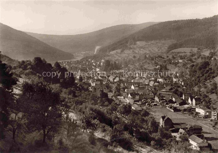 Schoenau Wutha Panorama Talblick Schwarzwald Kirche Daecher Wald Berge Wohnhaeus