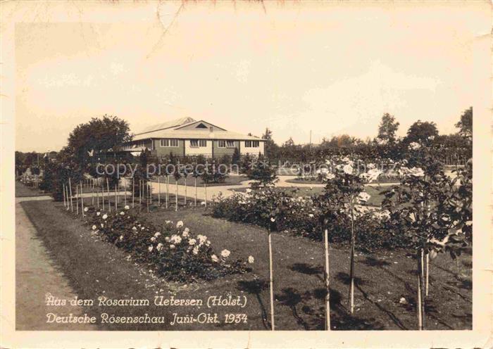 Uetersen Pinneberg Schleswig-Holstein Rosarium Rosengarten Rosen Deutsche-Roesen