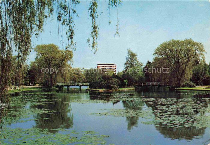 Uetersen Pinneberg Schleswig-Holstein Rosarium Teich Seerosen Weide Bruecke Hoch