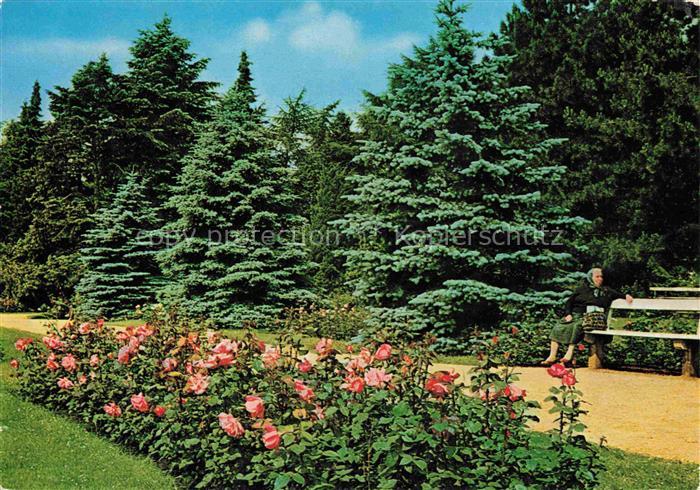 Uetersen Pinneberg Schleswig-Holstein Rosarium Rosen Blautannen Koniferen Bank S