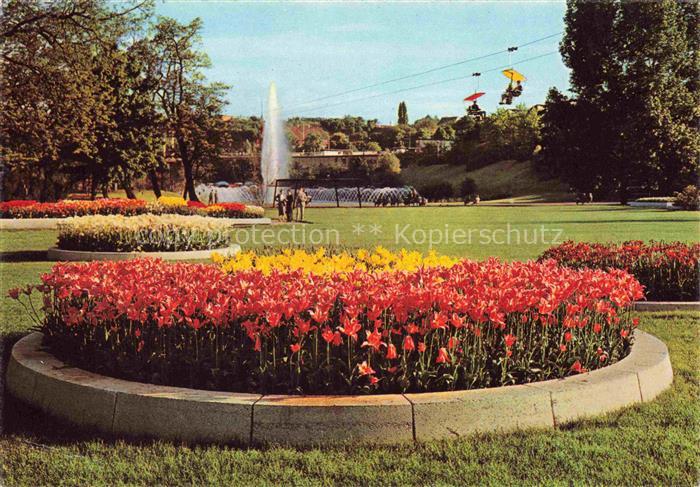 Killesberg STUTTGART Hoehenpark-Killesberg Blumenrondell Tulpen Springbrunnen Se