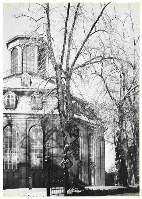 Rellingen Pinneberg Schleswig-Holstein Kirche Winter Schnee Barockkirche Baeume