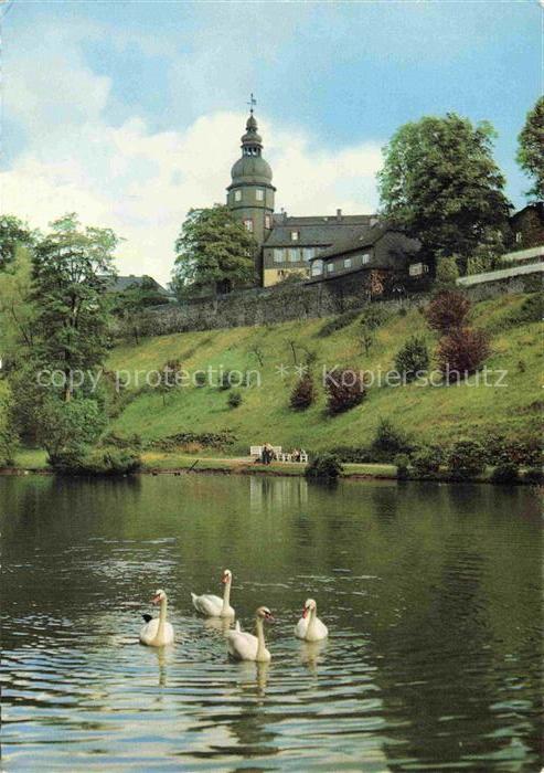 Bad Berleburg NRW Schlosspark Schloss Teich Schwaene Kneipp-Heilbad Park Turm Wi