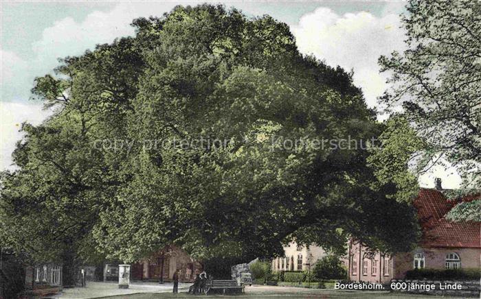 Bordesholm Rendsburg-Eckernfoerde Schleswig-Holstein Linde Lindenbaum Platz Pfer