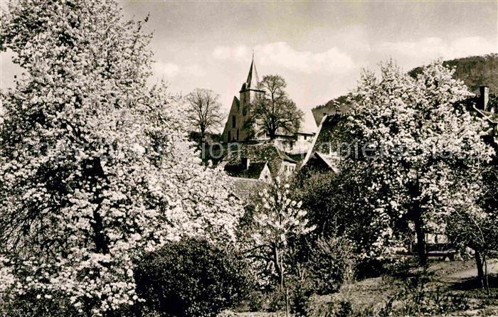 Zwingenberg Bergstrasse Baumbluete