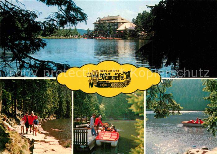 Mummelsee Berghotel Boot