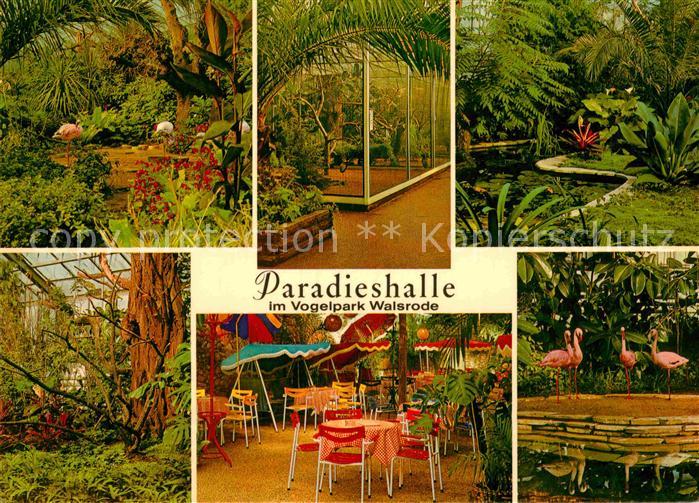 Walsrode Lueneburger Heide Paradieshalle Vogelpark