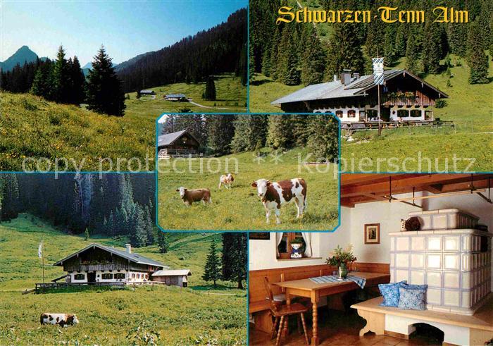 Kreuth Tegernsee Schwarzen Tenn Alm
