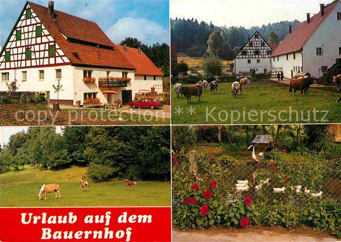 Velden Mittelfranken Bauernhof