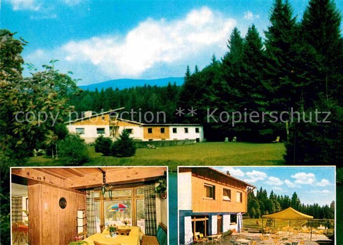 Zwieslerwaldhaus Waldhotel Haus Falkenstein