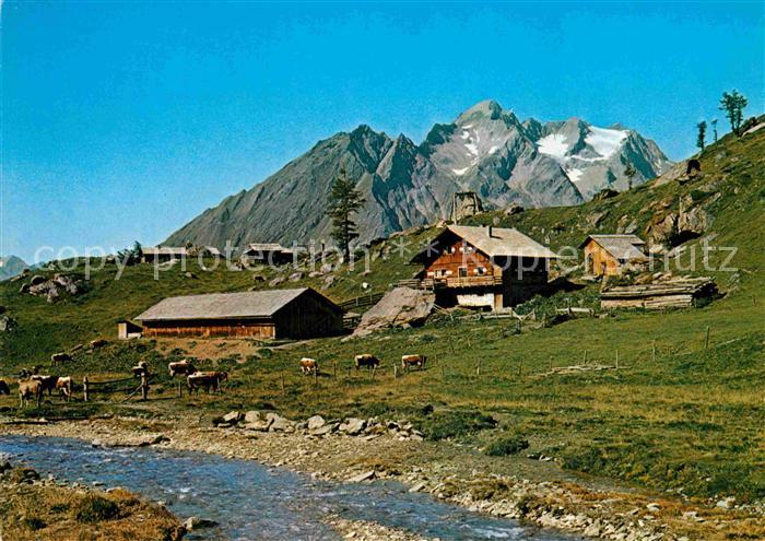 Matrei Osttirol Steiner Alm Kristallkopf Hintereggerkogel
