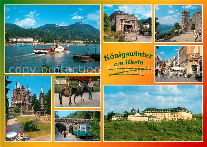 Koenigswinter Schloss Pferd Eisenbahn