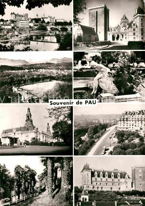 Pau 64 Palmeraie Chateau