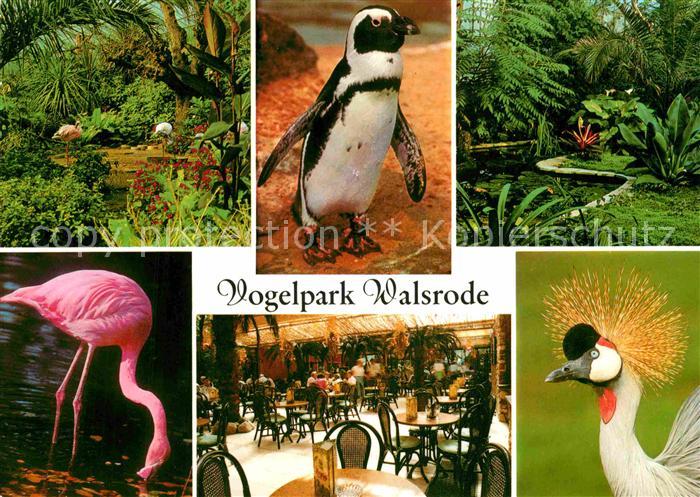 Walsrode Lueneburger Heide Vogelpark