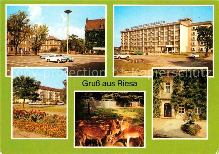 Riesa Sachsen Leninplatz Tierpark Rathaus