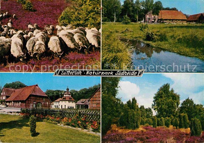 Lutterloh Naturpark Suedheide