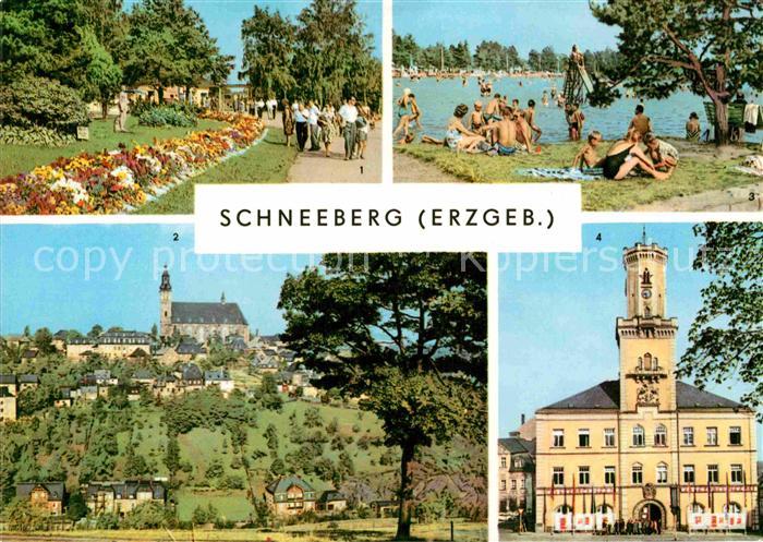 Schneeberg Erzgebirge Filzteich Kirche Rathaus