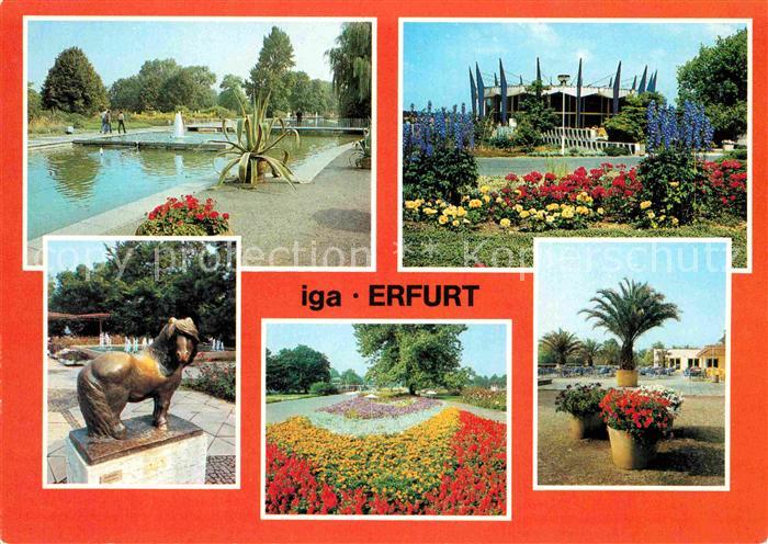 ERFURT CITY iga