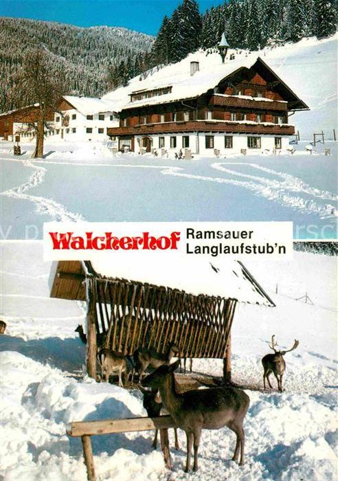Ramsau Dachstein Steiermark Pension Walcherhof