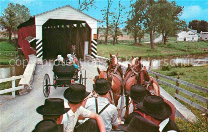 Pferdekutschen Hitch Belgian Horses Amish