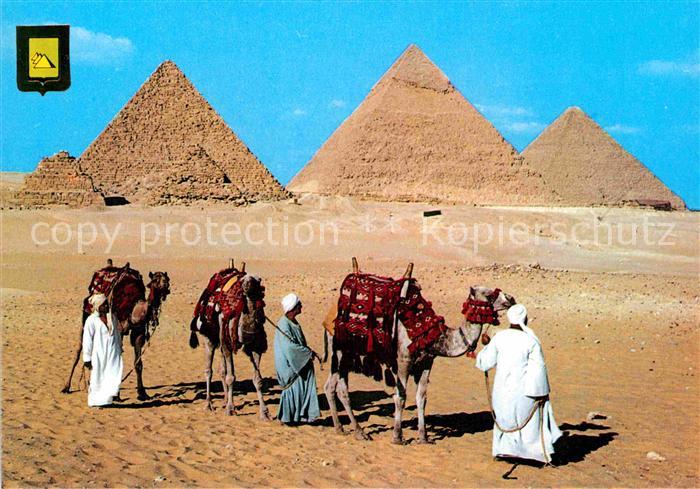 Kamel  Camel Chameau Giza Kheops Khephren Mycerinos Pyramids