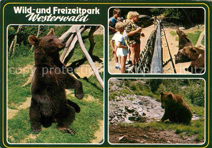 Baeren Wild- und Freizeitpark Westerwald Gacke