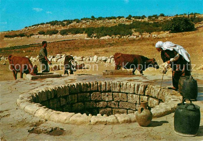 Typen Arabien Femme arabe puisant l'eau du Puits Brunnen Kuehe