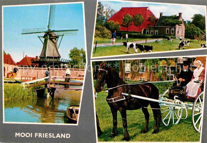 Windmuehle Trachten Pferdekutsche Friesland