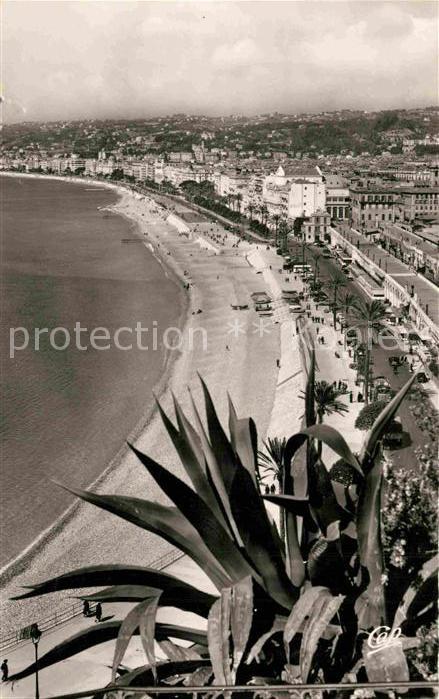 Nice Alpes Maritimes Vue generale prise du Chateau