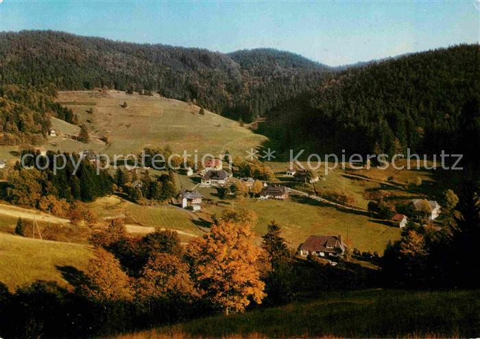 Ruette Todtmoos Panorama Schwarzwald Herbststimmung