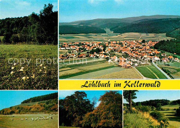 Haina Kloster Landschaftspanorama Schafherde Fliegeraufnahme