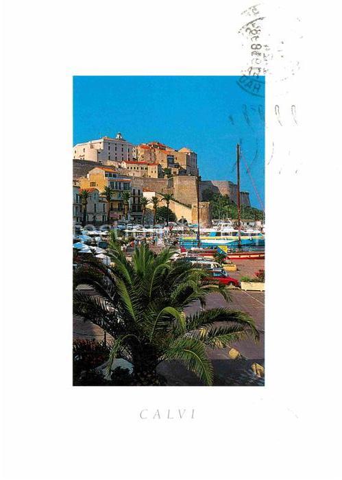 Calvi Partie am Hafen