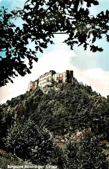 Altleiningen Burgruine