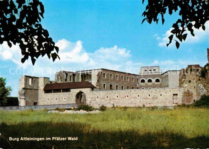 Altleiningen Burgruine