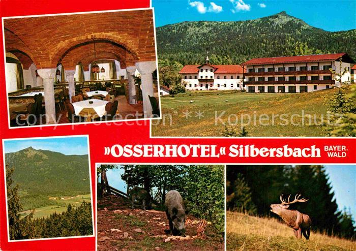 Silbersbach Osserhotel