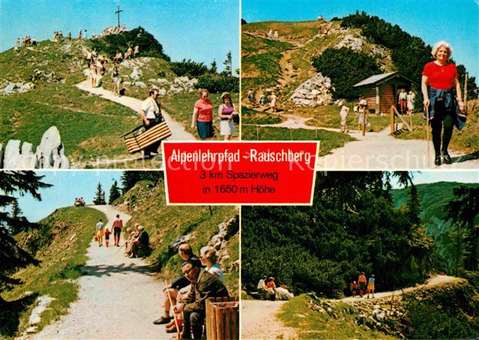 Ruhpolding Bayern Alpenlehrpfad Rauschberg
