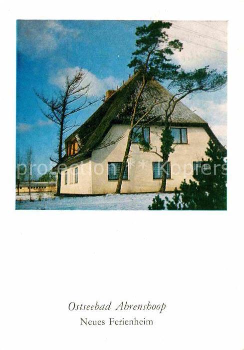 Ahrenshoop Ostseebad Neues Ferienheim