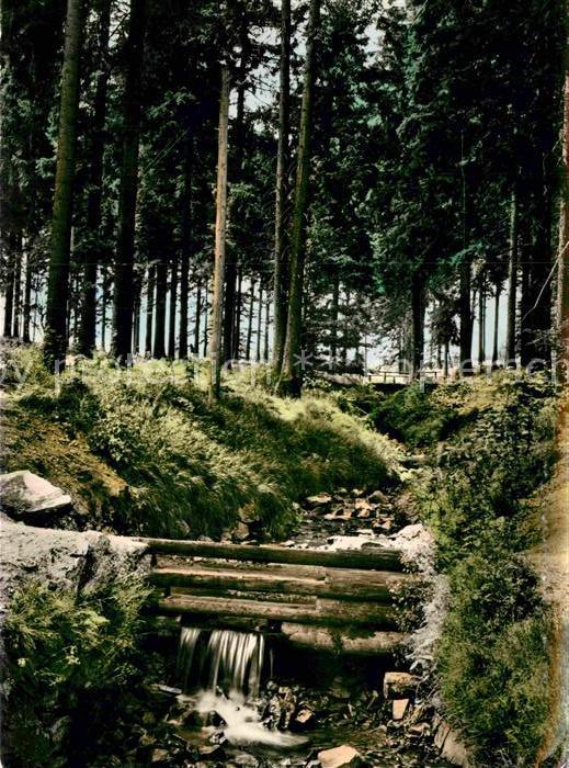 St Andreasberg Harz Rehberger Grabenhaus Waldpartie