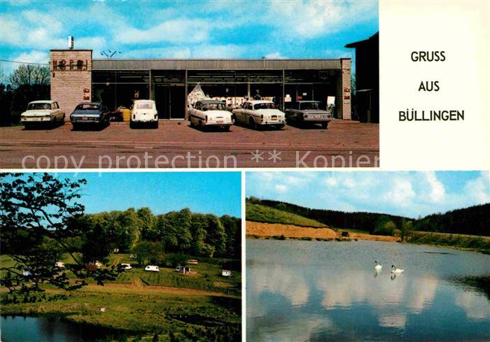 Buellingen See Teilansicht